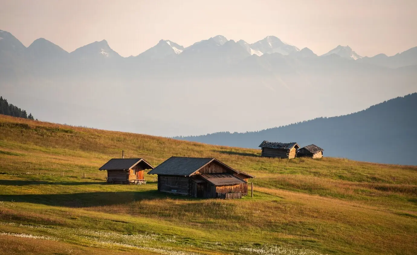 Wooden cabins in a lovely meadow